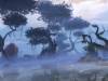 Mist on the Glade